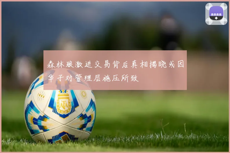 森林狼激进交易背后真相揭晓或因华子对管理层施压所致