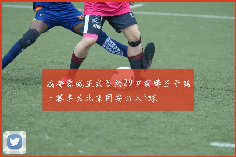 成都蓉城正式签约29岁前锋王子铭上赛季为北京国安打入5球