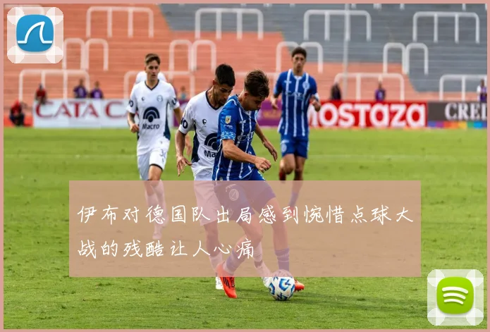 伊布对德国队出局感到惋惜点球大战的残酷让人心痛