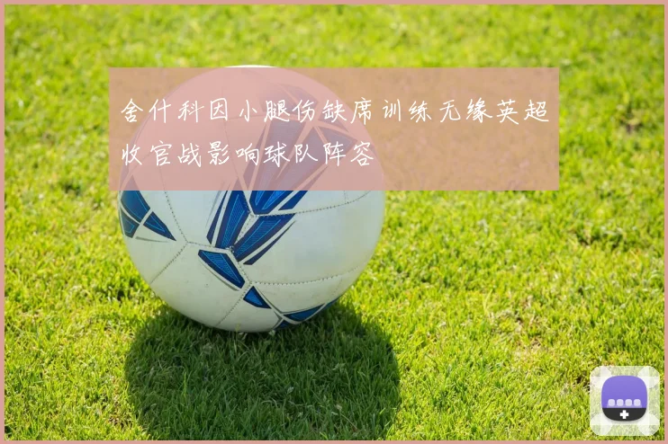 舍什科因小腿伤缺席训练无缘英超收官战影响球队阵容