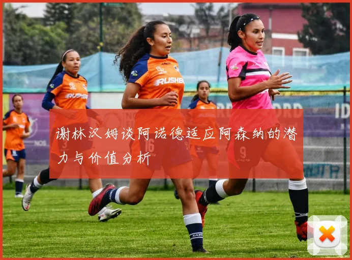 谢林汉姆谈阿诺德适应阿森纳的潜力与价值分析