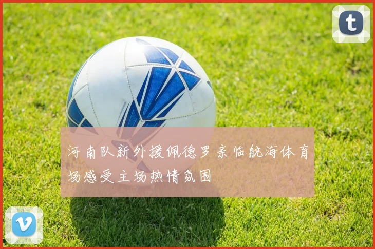 河南队新外援佩德罗亲临航海体育场感受主场热情氛围