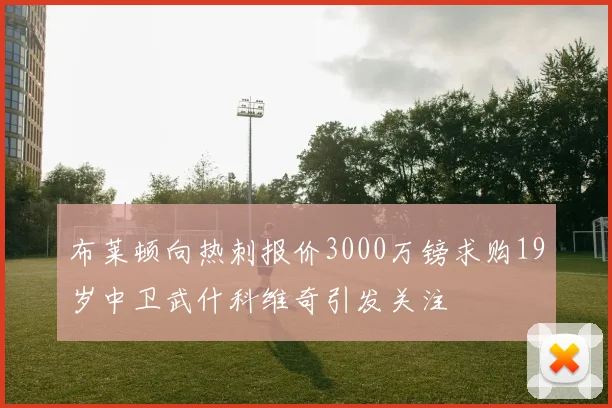 布莱顿向热刺报价3000万镑求购19岁中卫武什科维奇引发关注